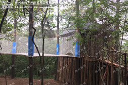 青少年營地器材-森林魔網